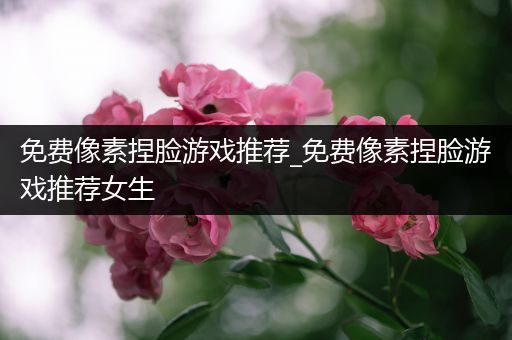 免费像素捏脸游戏推荐_免费像素捏脸游戏推荐女生