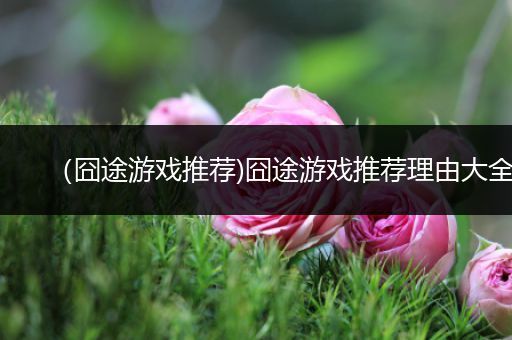 （囧途游戏推荐)囧途游戏推荐理由大全