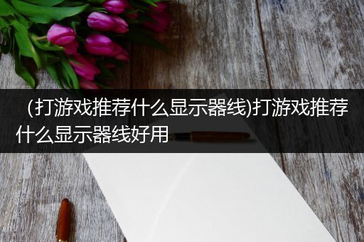 （打游戏推荐什么显示器线)打游戏推荐什么显示器线好用