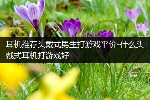 耳机推荐头戴式男生打游戏平价-什么头戴式耳机打游戏好