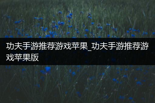 功夫手游推荐游戏苹果_功夫手游推荐游戏苹果版