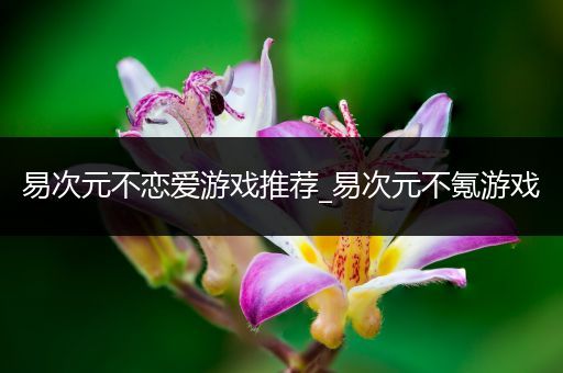 易次元不恋爱游戏推荐_易次元不氪游戏