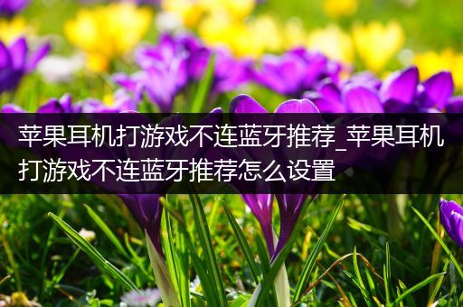 苹果耳机打游戏不连蓝牙推荐_苹果耳机打游戏不连蓝牙推荐怎么设置