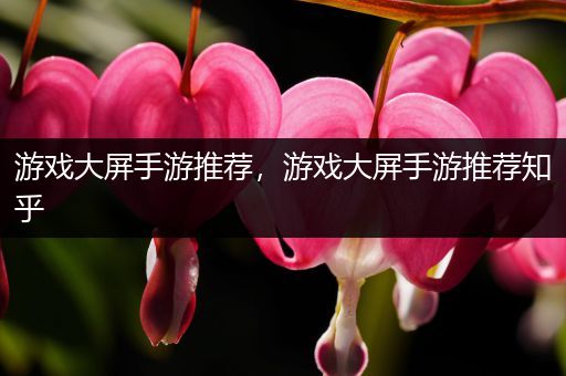 游戏大屏手游推荐，游戏大屏手游推荐知乎