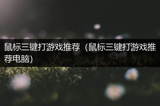 鼠标三键打游戏推荐（鼠标三键打游戏推荐电脑）
