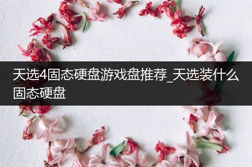 天选4固态硬盘游戏盘推荐_天选装什么固态硬盘
