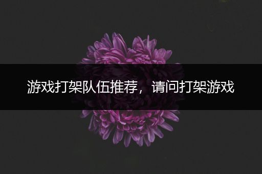 游戏打架队伍推荐，请问打架游戏