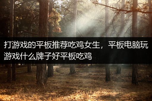 打游戏的平板推荐吃鸡女生，平板电脑玩游戏什么牌子好平板吃鸡