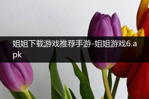 姐姐下载游戏推荐手游-姐姐游戏6.apk