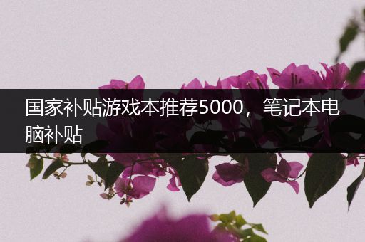 国家补贴游戏本推荐5000，笔记本电脑补贴