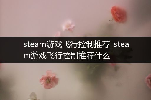 steam游戏飞行控制推荐_steam游戏飞行控制推荐什么