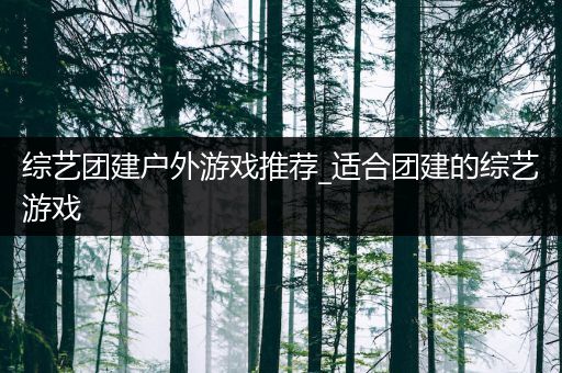 综艺团建户外游戏推荐_适合团建的综艺游戏