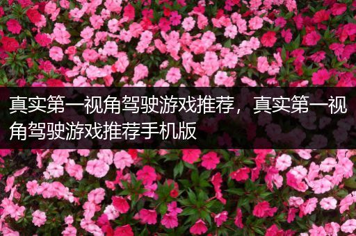 真实第一视角驾驶游戏推荐，真实第一视角驾驶游戏推荐手机版