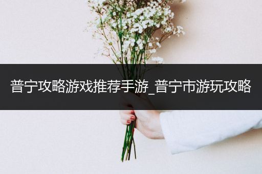 普宁攻略游戏推荐手游_普宁市游玩攻略