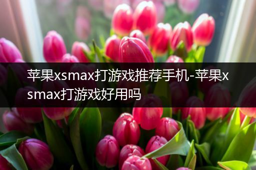 苹果xsmax打游戏推荐手机-苹果xsmax打游戏好用吗