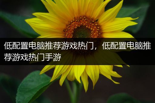 低配置电脑推荐游戏热门，低配置电脑推荐游戏热门手游