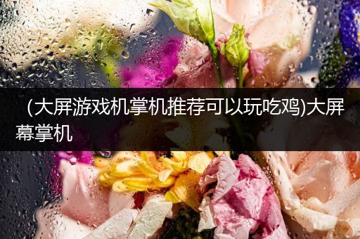 （大屏游戏机掌机推荐可以玩吃鸡)大屏幕掌机