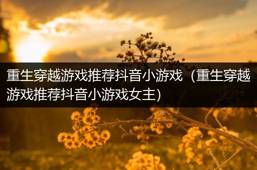 重生穿越游戏推荐抖音小游戏（重生穿越游戏推荐抖音小游戏女主）