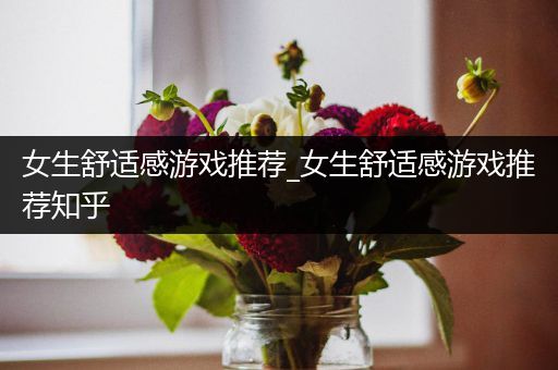 女生舒适感游戏推荐_女生舒适感游戏推荐知乎
