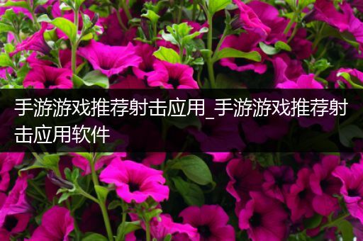 手游游戏推荐射击应用_手游游戏推荐射击应用软件