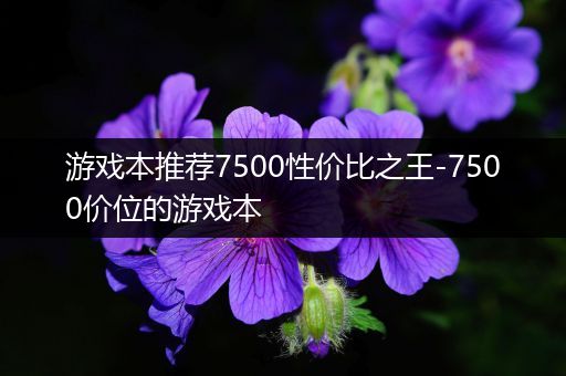 游戏本推荐7500性价比之王-7500价位的游戏本