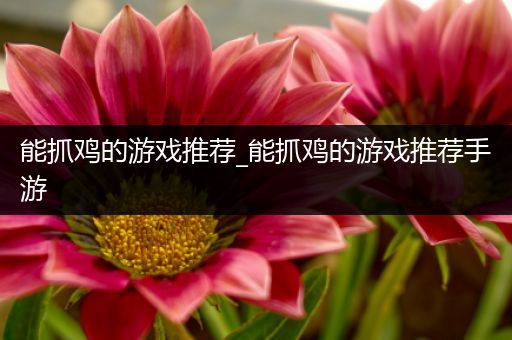 能抓鸡的游戏推荐_能抓鸡的游戏推荐手游