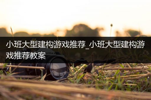 小班大型建构游戏推荐_小班大型建构游戏推荐教案