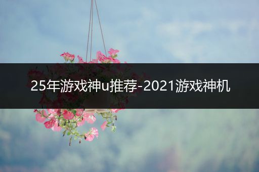 25年游戏神u推荐-2021游戏神机