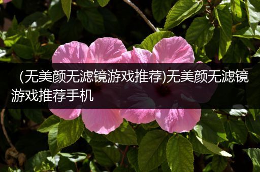 （无美颜无滤镜游戏推荐)无美颜无滤镜游戏推荐手机