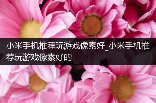 小米手机推荐玩游戏像素好_小米手机推荐玩游戏像素好的