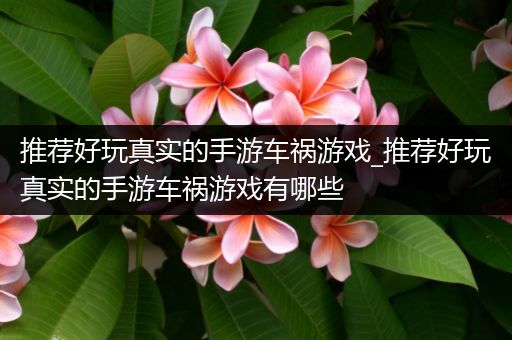 推荐好玩真实的手游车祸游戏_推荐好玩真实的手游车祸游戏有哪些