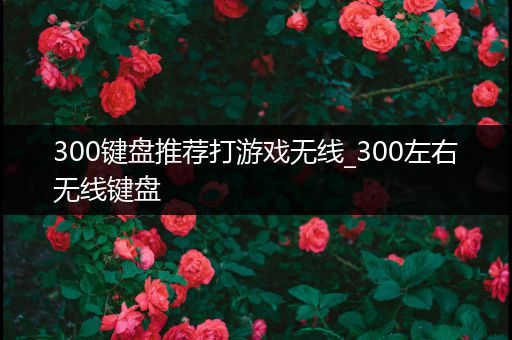 300键盘推荐打游戏无线_300左右无线键盘
