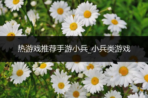 热游戏推荐手游小兵_小兵类游戏