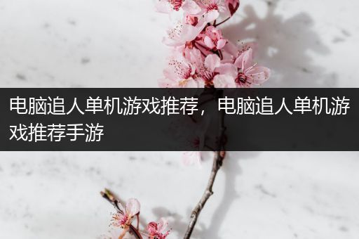 电脑追人单机游戏推荐，电脑追人单机游戏推荐手游