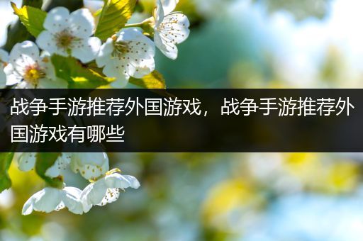 战争手游推荐外国游戏，战争手游推荐外国游戏有哪些