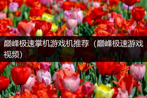 巅峰极速掌机游戏机推荐（巅峰极速游戏视频）
