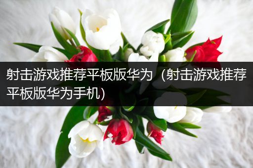 射击游戏推荐平板版华为（射击游戏推荐平板版华为手机）