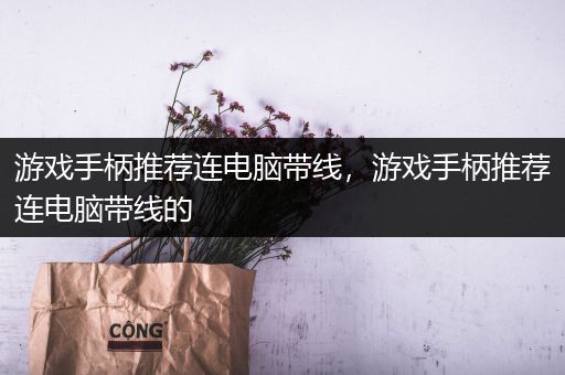 游戏手柄推荐连电脑带线，游戏手柄推荐连电脑带线的