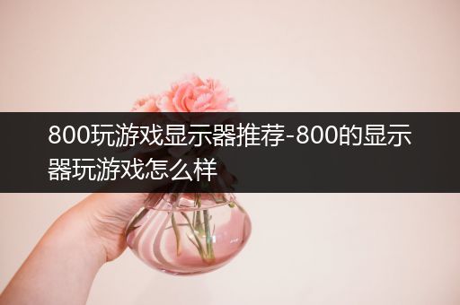 800玩游戏显示器推荐-800的显示器玩游戏怎么样