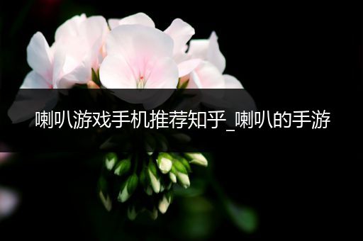 喇叭游戏手机推荐知乎_喇叭的手游