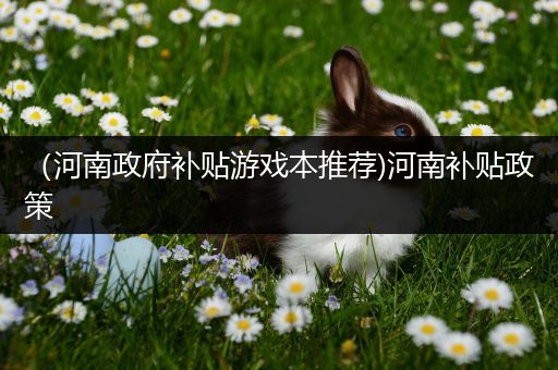 （河南政府补贴游戏本推荐)河南补贴政策