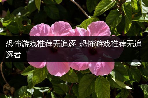 恐怖游戏推荐无追逐_恐怖游戏推荐无追逐者