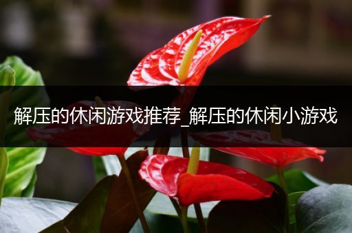 解压的休闲游戏推荐_解压的休闲小游戏