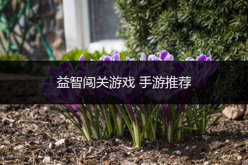 益智闯关游戏 手游推荐