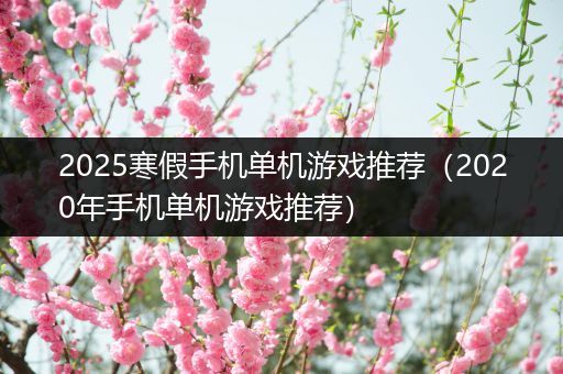 2025寒假手机单机游戏推荐（2020年手机单机游戏推荐）