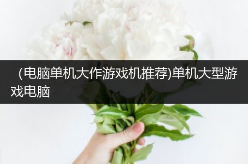 （电脑单机大作游戏机推荐)单机大型游戏电脑