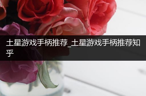土星游戏手柄推荐_土星游戏手柄推荐知乎
