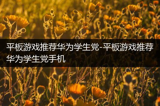 平板游戏推荐华为学生党-平板游戏推荐华为学生党手机