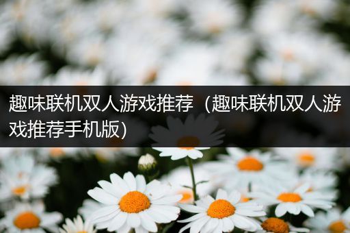 趣味联机双人游戏推荐（趣味联机双人游戏推荐手机版）
