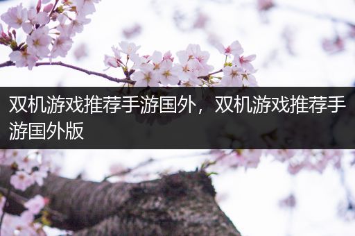 双机游戏推荐手游国外，双机游戏推荐手游国外版